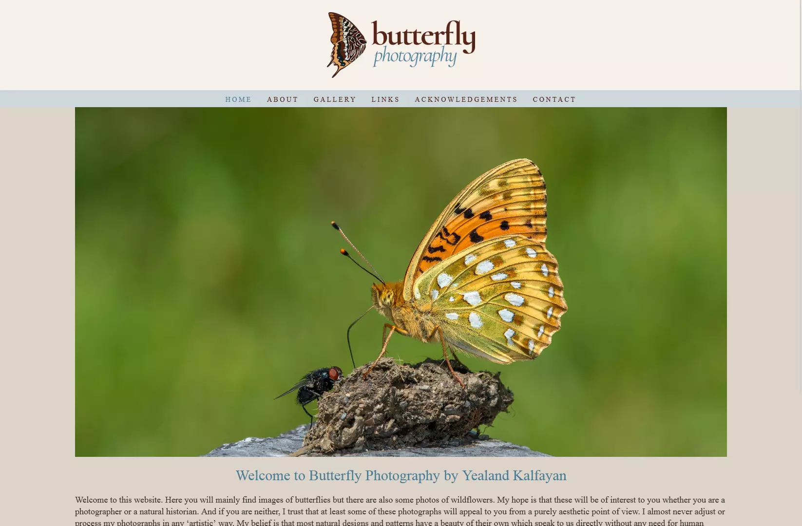 Screenshot of Yealand Kalfayans Butterfly Photography website home page